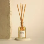 Diffusore Arancia e Cannella